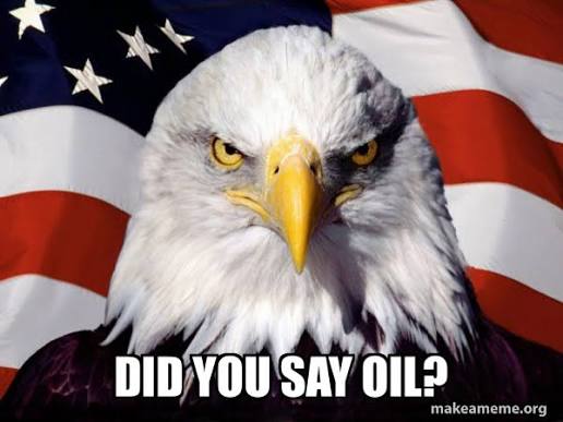 A bald eagle glaring in front of an American flag, captioned 'Did you say oil?'